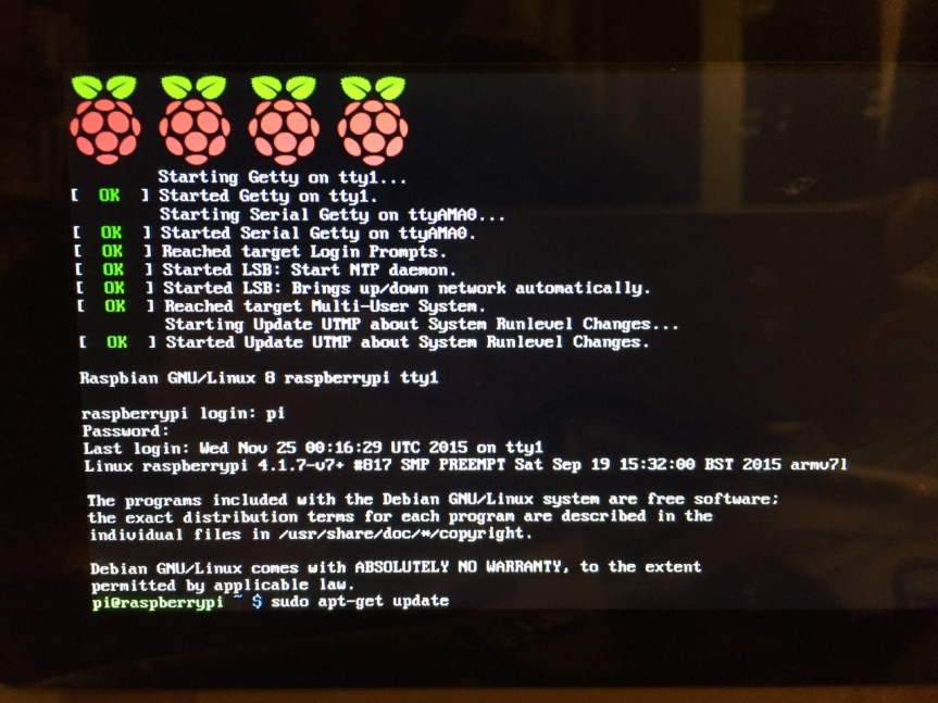Entering a command at the prompt in Raspbian's CLI.
