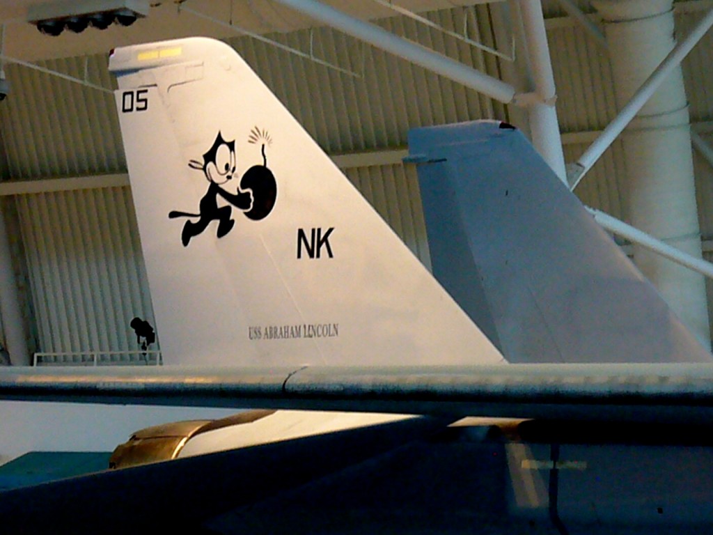 National Air and Space Museum, Udvar-Hazy Center, Grumman F-14 Tomcat