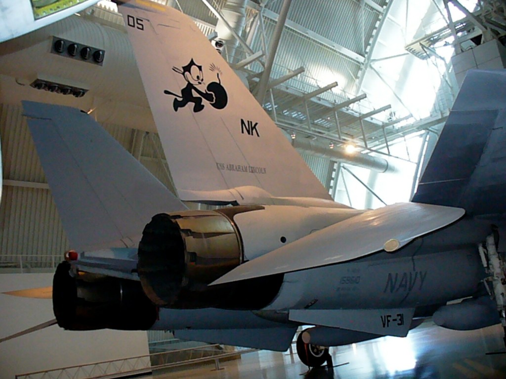 National Air and Space Museum, Udvar-Hazy Center, Grumman F-14 Tomcat