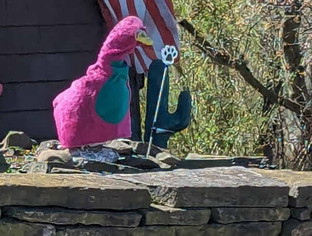 Ceramic duck dressed as Barney the Dinosaur in Kent, Ohio.